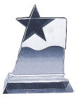 glass crystal figurine trophy awards medals trophy store engraving South Africa
